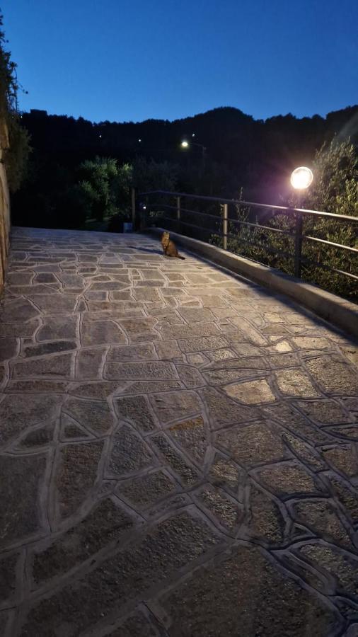 Villa Degli Ulivi Tivegna Exteriör bild