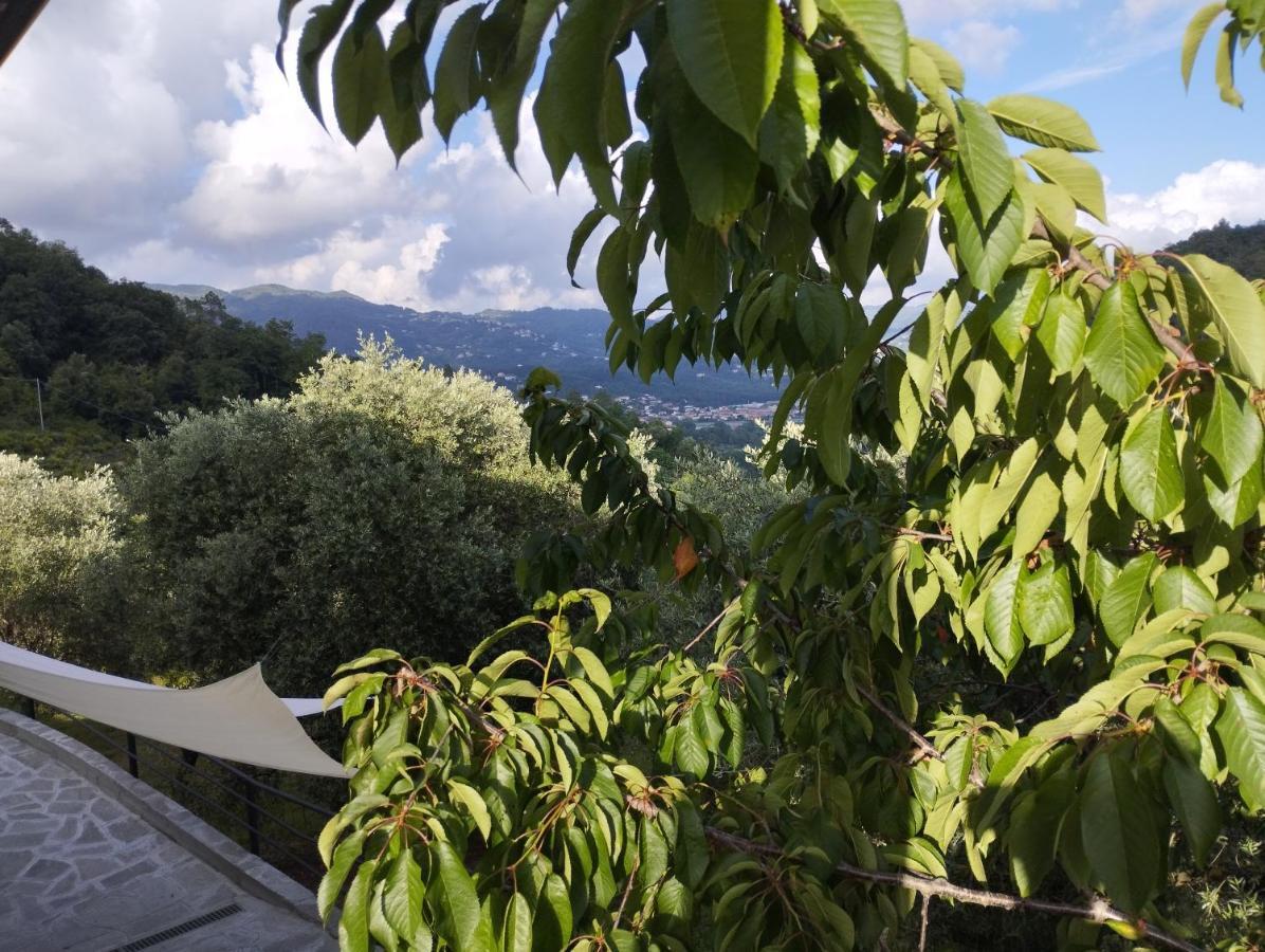 Villa Degli Ulivi Tivegna Exteriör bild