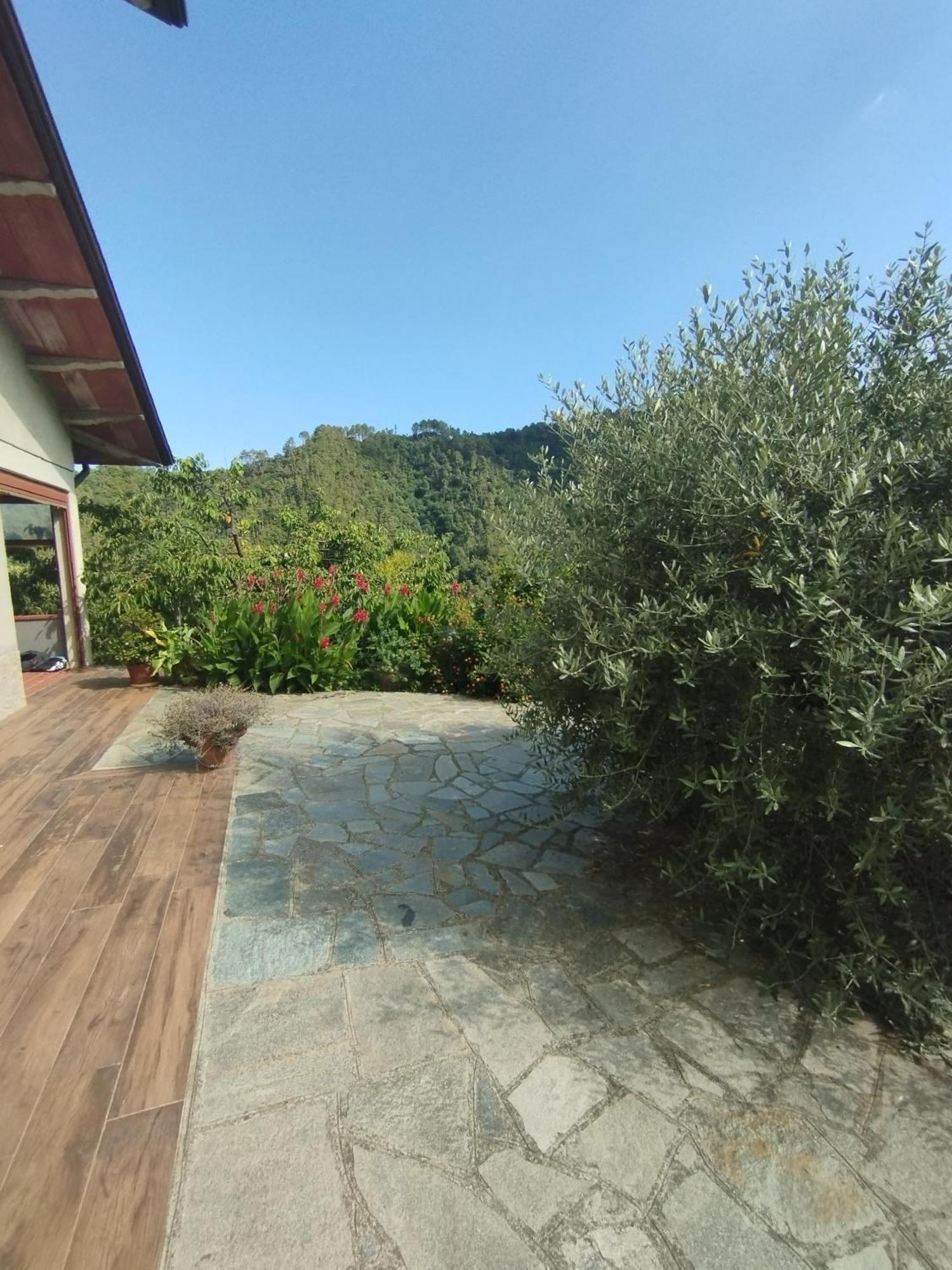 Villa Degli Ulivi Tivegna Exteriör bild