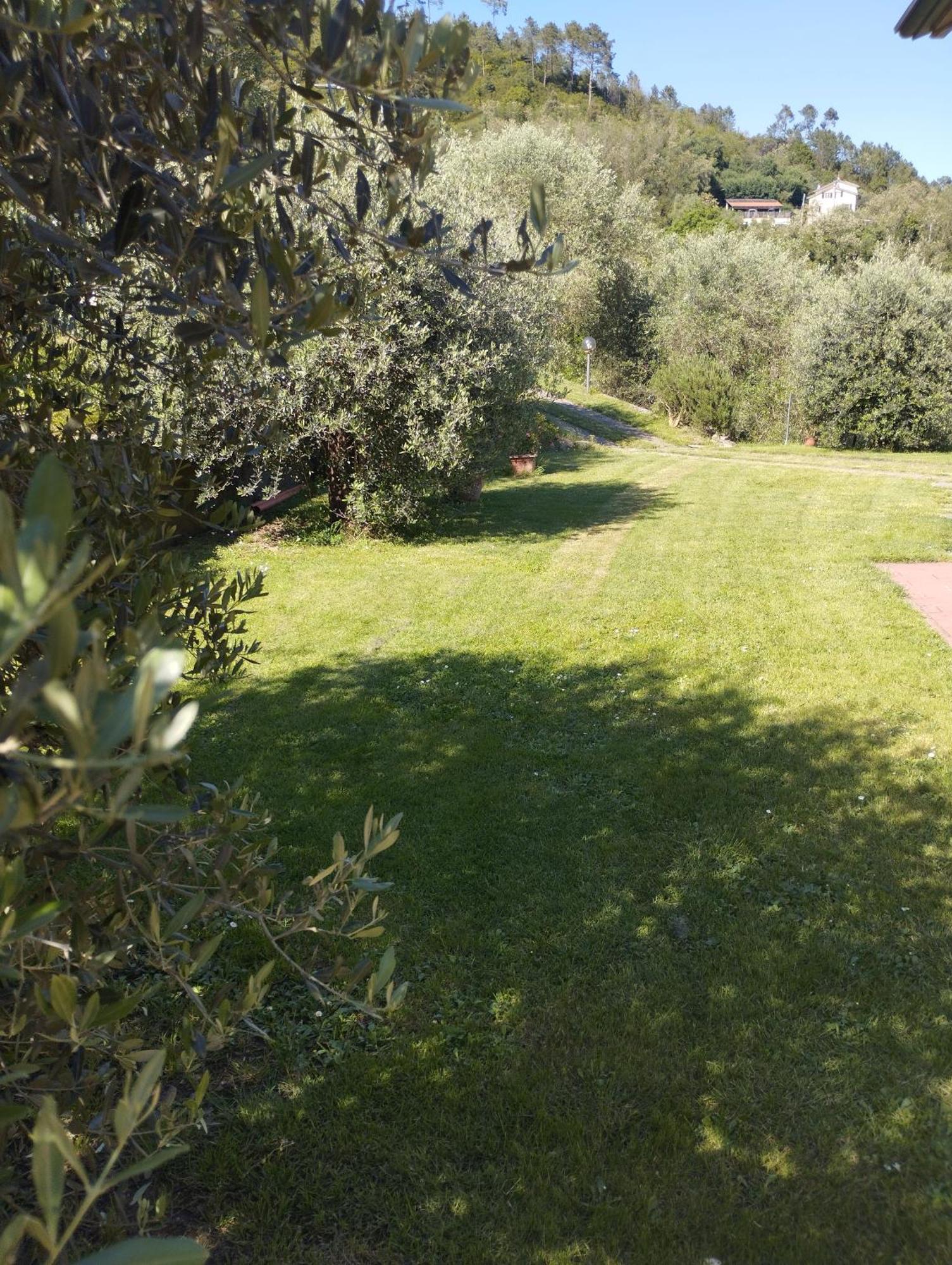 Villa Degli Ulivi Tivegna Exteriör bild