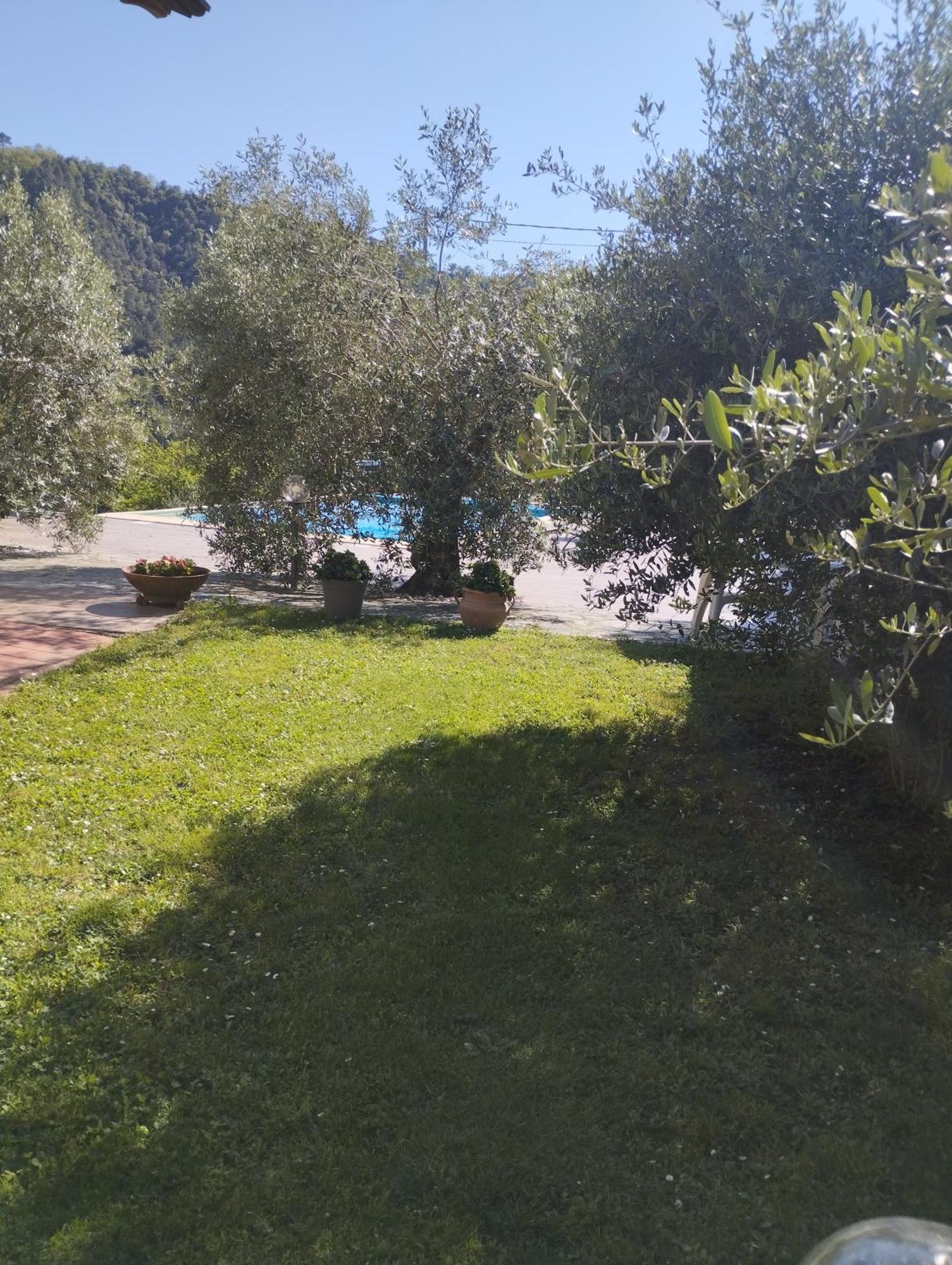 Villa Degli Ulivi Tivegna Exteriör bild